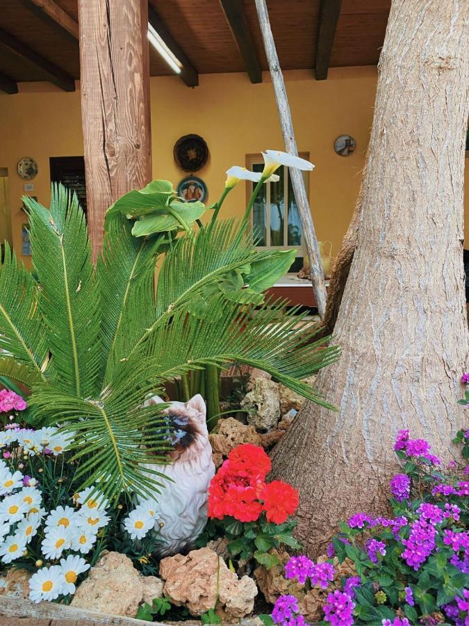 La Casa Di Anna Hotel Marsala Exterior foto